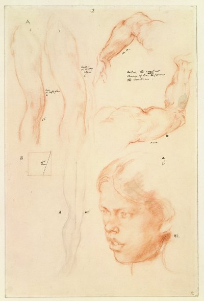 Annotated demonstration: Drawings and a Study of a Girl