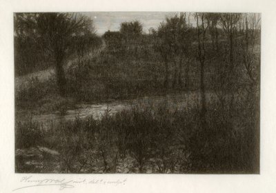 The Evening Star (Motif Found in the Catskills) by Henry Wolf