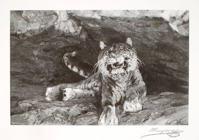 Tiger by Henry Wolf