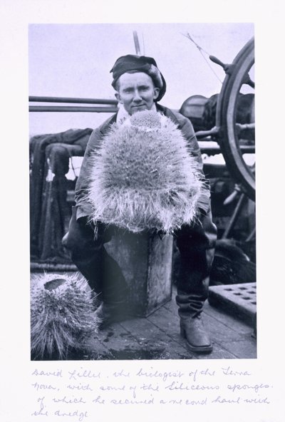 David Lille, Biologist of the 