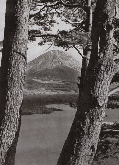 Fuji and the Pine Trees by Herbert Ponting