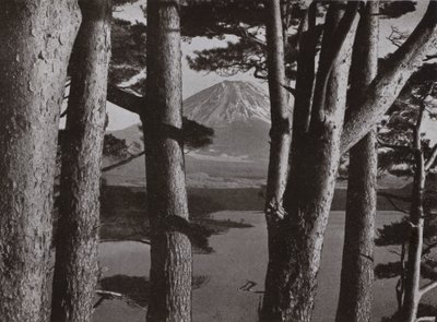 Fuji Through the Pine Trees by Herbert Ponting