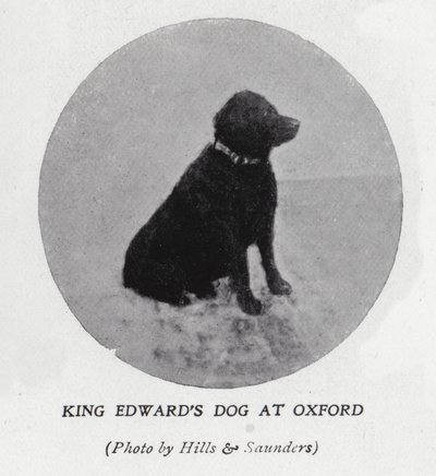 King Edward VII