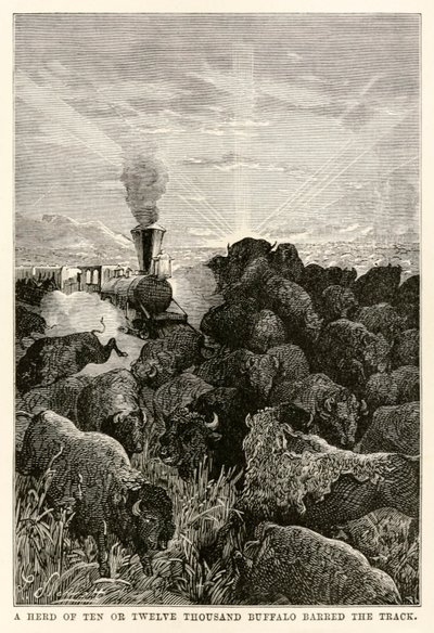A herd of ten or twelve thousand buffalo barred the track, from Around the World in Eighty Days by Jules Verne by Hippolyte Leon Benett