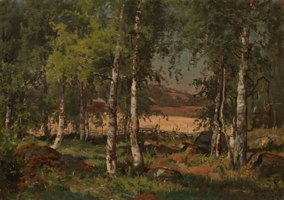 Landscape with Birch Grove and Rye Field by Hjalmar Munsterhjelm