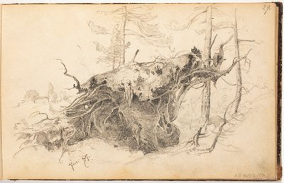 Untitled by Hjalmar Munsterhjelm