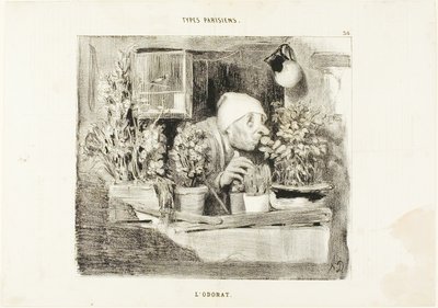 Smell, plate 38 from Types Parisiens by Honoré Victorin Daumier