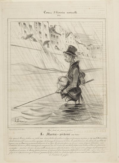 Kingfisher (on the Seine) by Honoré Daumier