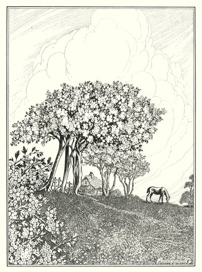 May by Horace J. Knowles