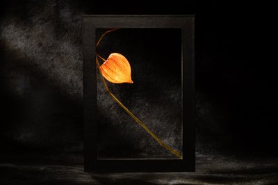 Glowing Chinese Lantern by Igor Kopcev