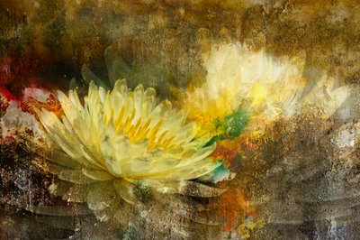 Golden Lotus Bloom by Igor Kopcev
