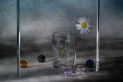 Quiet Daisy Reflections by Igor Kopcev
