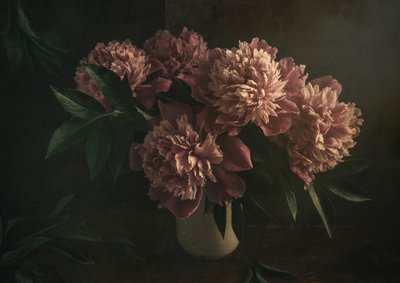 Elegant Pink Peonies by Igor Tokarev