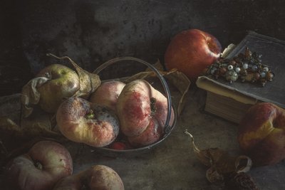 Moody Autumn Fruit by Igor Tokarev