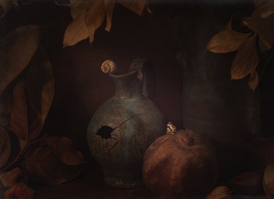 Moody Still Life Pomegranate by Igor Tokarev