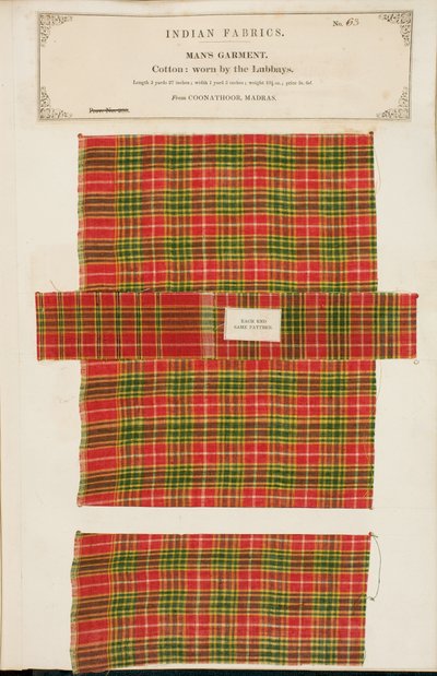 Cotton sample from Coonathoor in Madras, from The Collection of the Textile Manufacturers of India, by John Forbes Watson, published in 1866 by Indian School