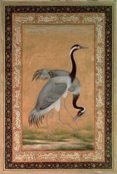 Cranes by Mansur, Jahangir Period, Mughal by Indian School