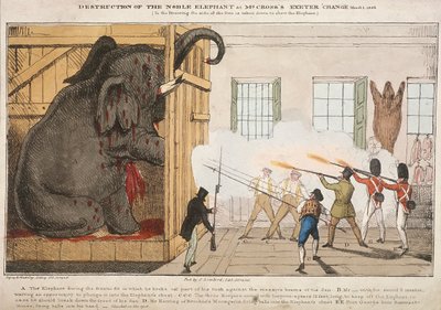 Destruction of the Noble Elephant at Mr Cross