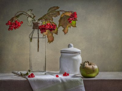 Autumn Berries And Apple by Inna Karpova