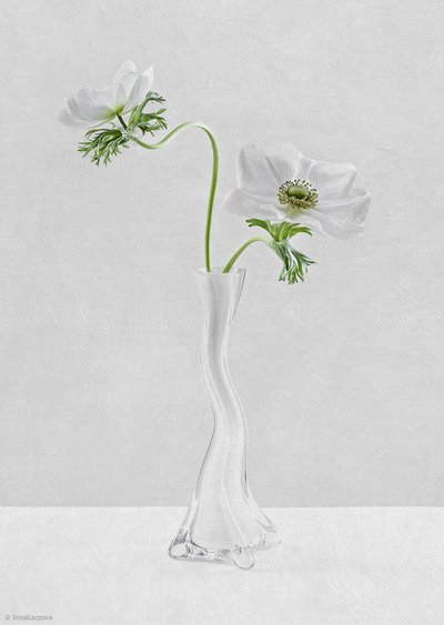 Curves by Inna Karpova