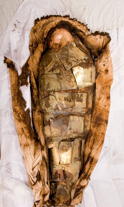 A surprise layer of gold and copper plates was found, similar to the earlier layer of gold and copper, but these plates are larger. by Ira Block