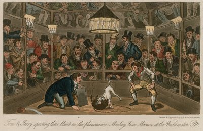 Tom and Jerry Sporting Their Blunt on the Phenomenon Monkey, Jacco Macacco, at the Westminster Pit by Isaac, Robert and George Cruikshank