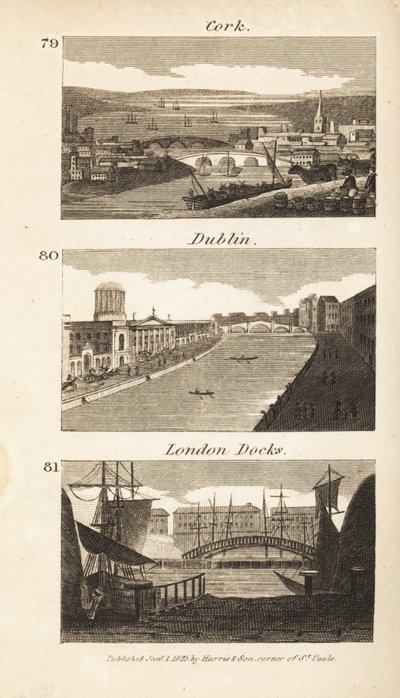 Trades in Regency Ireland and England: Cork, Dublin and London Docks by Isaac Taylor