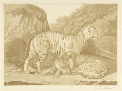Two Tigers in a Landscape by Isaac van Haastert (signed by artist)