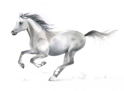 Dynamic Grace of a Galloping Horse by Isabelle Brent