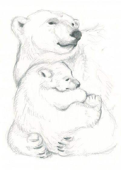 Polar Bear and Cub Drawing by Isabelle Brent