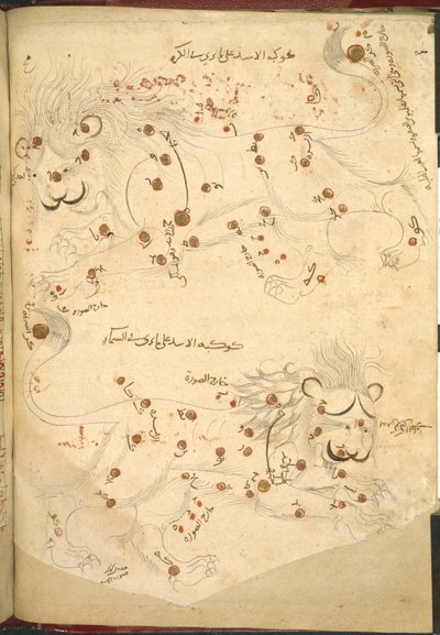 Two Lions, Illustration from A Description of the Fixed Stars, by Abd al-Rahman al-Sufi by Islamic School