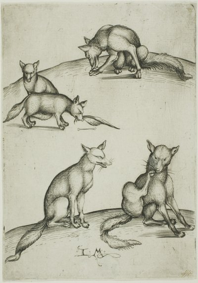 The Five Foxes by Israhel van Meckenem the younger