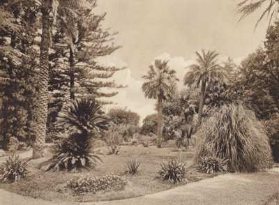 Sicily: Villa Tasca, Palermo by Italian Photographer