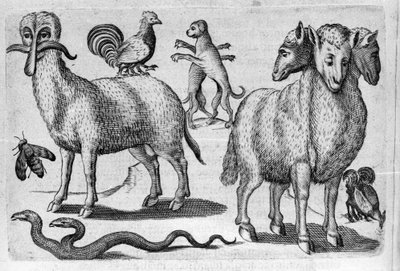 Different types of monstrous animals, with multiple bodies or an abnormal amount of limbs. Engraving from “De monstrorum natura, causis et differentiis” by Fortunio Liceti (1577-1656), Italian scientist. 1646 by Italian School