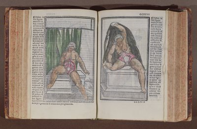 Female anatomy, from Commentaria cum amplissimis additionibus super anatomiam mundini, by Jacopo Berengario da Carpi published in Bologna, 1521 by Italian School