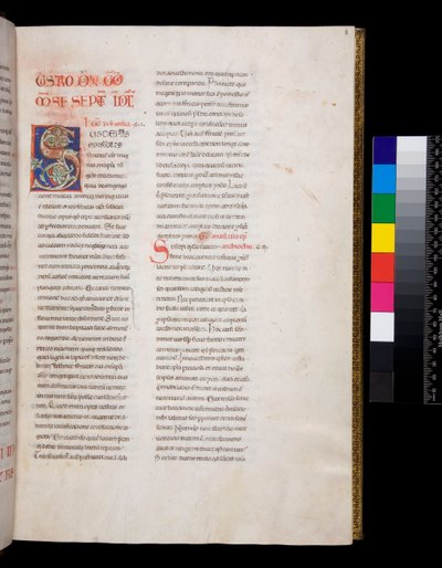 Ms 143. Gregory the Great, Registrum Epistolarum, f.8r. Decorated Initial [S] with White Vine-Leaf Infill and Finials by Italian School