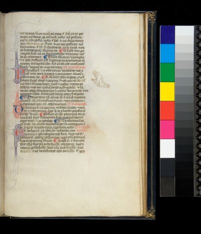Ms 373. Pseudo-Cicero, Rhetorica ad Herennium, and other works, f.50r. Pen-flourished initials and a penwork decoration in the margin representing a kneeling barefoot monk, c.1337 by Italian School