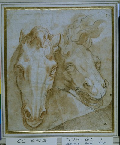 Studies for the heads of two horses by Italian School