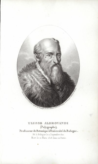 Ulisse Aldrovandi by Italian School