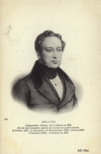 Vincenzo Bellini by Italian School