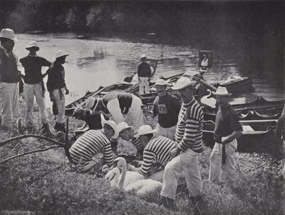 Swan Upping on the Thames, Nicking or Marking by J. Benjamin Stone