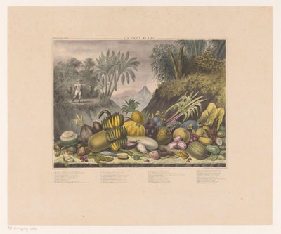 Javanese Fruits by J. Schnell