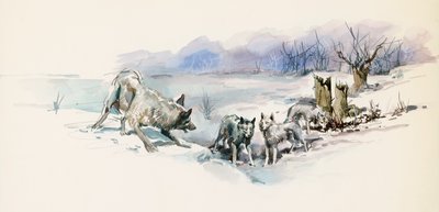 Pack of Wolves, from Call of the Wild, Adventure Novel by Jack London by Jack London
