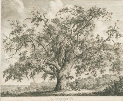 Tutbury - "Wych Elm": etching, nd [c.1820] by Jacob George Strutt