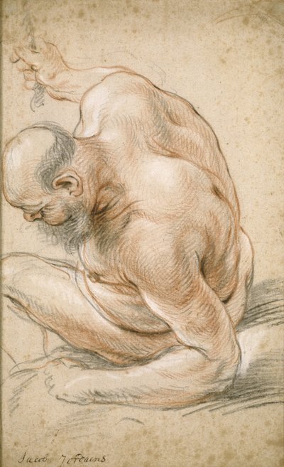 Nude Old Man Seated, Leaning on His Forearm, Facing Left by Jacob Jordaens