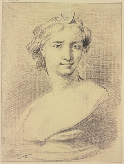 Bust of Diana by Jacob de Wit