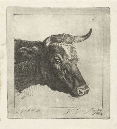 Head of a Cow with Rope around the Horns by Jacobus Cornelis Gaal