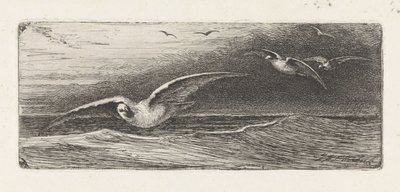 Seagulls by Jacobus Hermanus Otterbeek