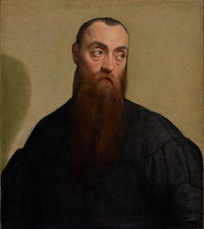 Portrait of a Bearded Man by Jacopo Bassano