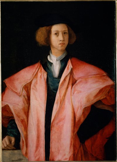 Portrait of a Young Man Probably Alessandro de Medici by Jacopo Pontormo